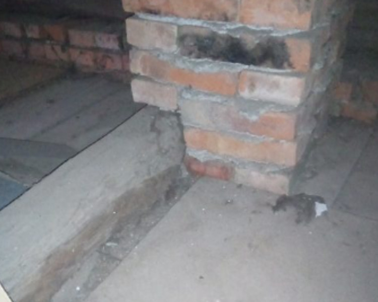 project-image